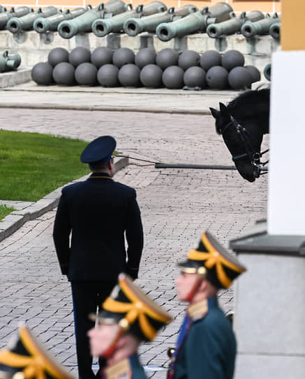 Лошадь время от времени заглядывалась на глав государств