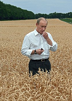 Председатель правительства России Владимир Путин