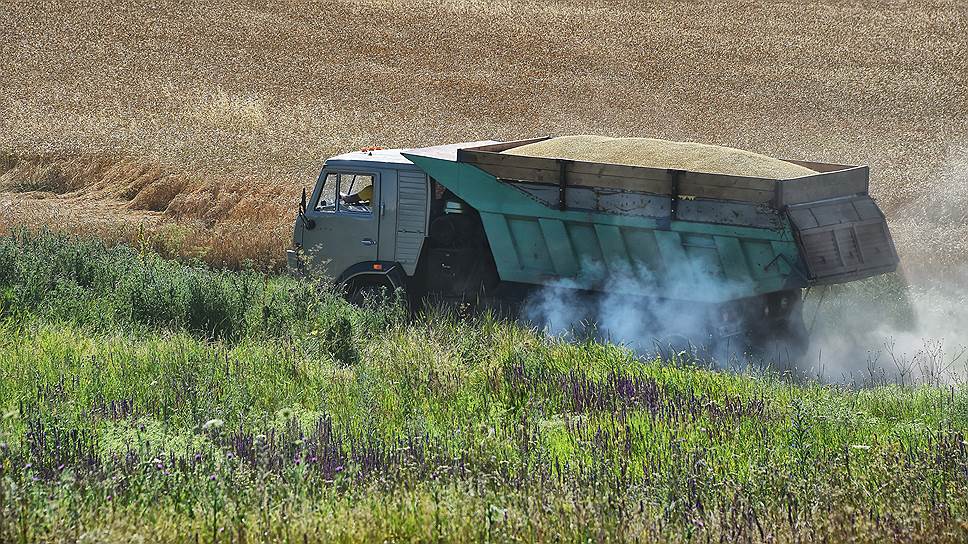 Зерно засыпают в контейнеры