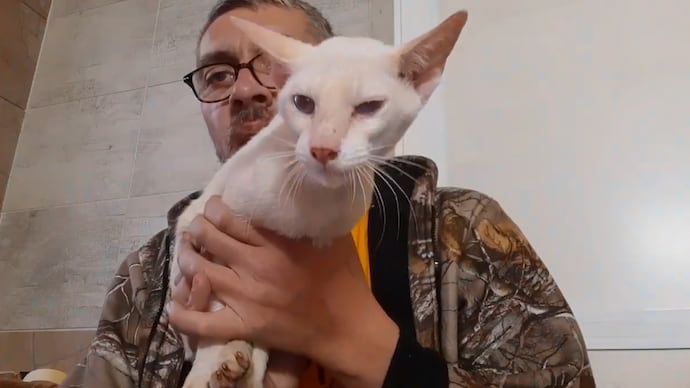 Не будь с котом