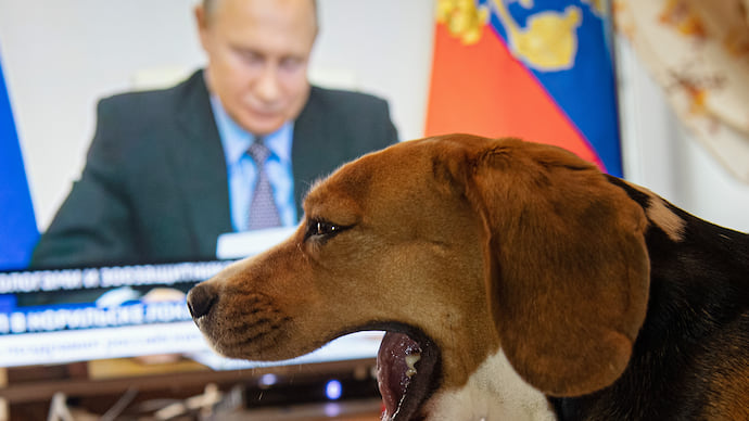 Эко логичные выводы