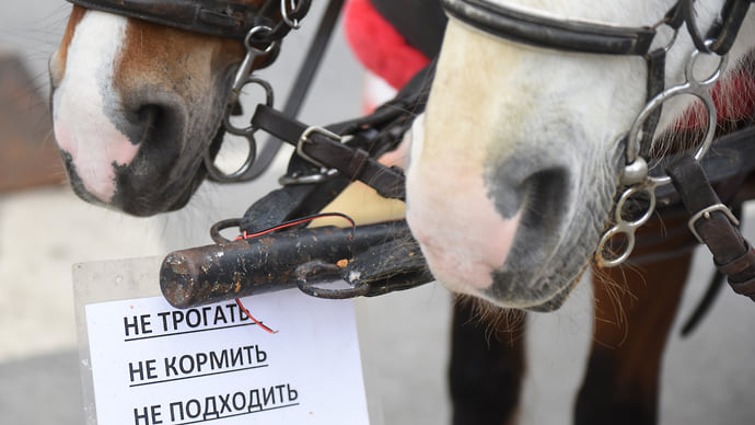 Наручники так просто не снимешь