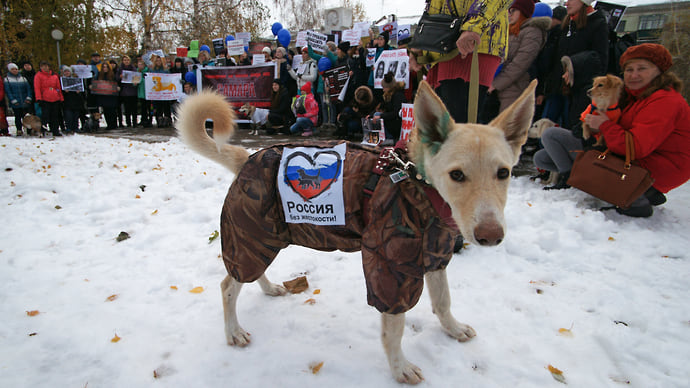 Отдам зверей в общественные руки
