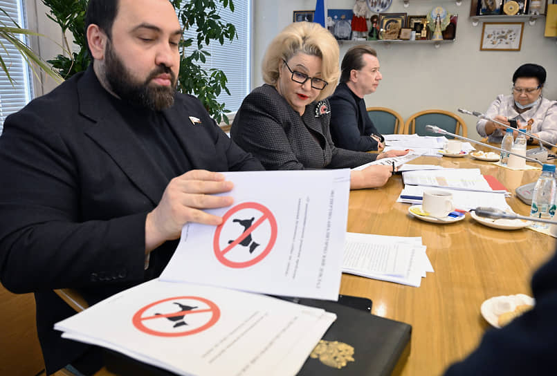 Заседание рабочей группы под руководством председателя комитета ГД России по защите семьи, вопросов отцовства, материнства и детства Нины Останиной (в центре) (27 февраля 2025 года) 