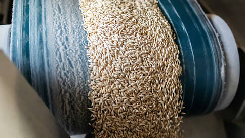 Неурожай подготовил себе почву // Сбор зерна на юге России за год сократился на 8,9%