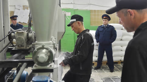 Труд освободит // Вступил в силу запрет на исправительные работы для безработных осужденных