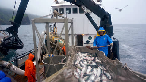 Улов пошел на камеру // Бизнес просит смягчить требования к оснащению рыбопромысловых судов