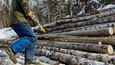 Новые правила деревянных вложений // Минпромторг пересмотрит перечень приоритетных лесных инвестпроектов