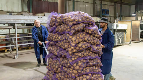 Полям не хватает цифры // Цифровая трансформация может обеспечить компаниям АПК рост операционной прибыли до 20%