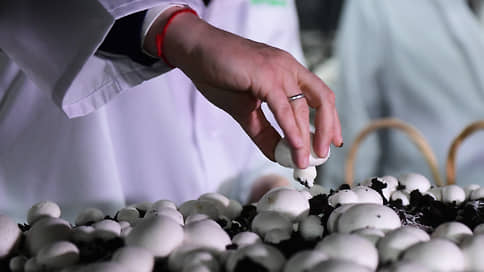 Грибы пришли к согласию // У Национальной грибной компании "Кашира" сменился собственник