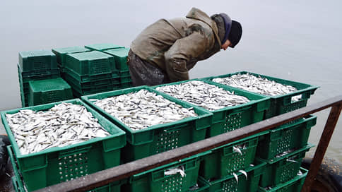 Льготу ловят в рыбных местах // Рыбопромышленники добиваются сохранения субсидий на транспортные расходы