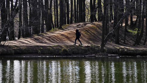 Упорядоченно бродить по лесным дорожкам // В Госдуме отклоняют законопроект о благоустройстве лесов через вырубку