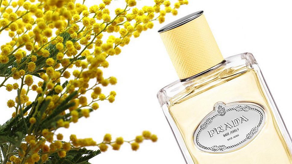Аромат Infusion de Mimosa, Prada