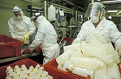 Выдача молока работникам вредных производств сегодня выглядит как издевка 