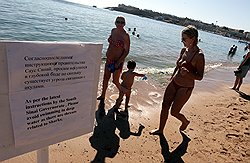 От купания в Красном море россиян не отвратили ни челюсти акул, ни предупреждения властей 