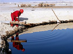 Дорогая нефть может превратить страну в экономическую пустыню