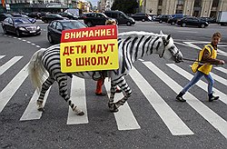 Поправки Мосгордумы должны сделать путь в школу коротким и безопасным