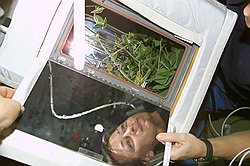 Отсутствие настоящих ученых на орбите снижает научную значимость проектов и повышает расходы на них  