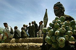 Российские чиновники сочли, что доклад Глобальной комиссии по наркополитике заказан наркобизнесом