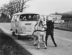 Нефтяной кризис 1973 года лишил Запад горючего, но обеспечил аналитикам компании Shell высокие бонусы