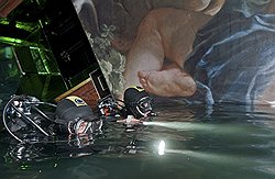 Вместе с Costa Concordia на дно ушли тысячи произведений искусства, которые привлекают многих охотников за сокровищами