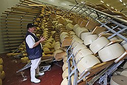 Чтобы помочь пострадавшим от землетрясения между Болоньей, Феррарой и Моденой, итальянские пользователи Facebook купили 15 тонн пармезана 