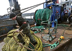 В рыбном порту Мурманска не всегда встретишь судно под разгрузкой  