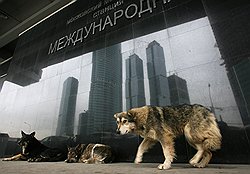 Обитатели столицы на собственной шкуре чувствуют падение уровня жизни в Москве, которое зафиксировал Росстат 