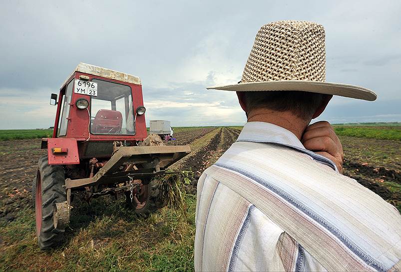 При падающем курсе у российского производителя два козыря: экспорт и импортозамещение