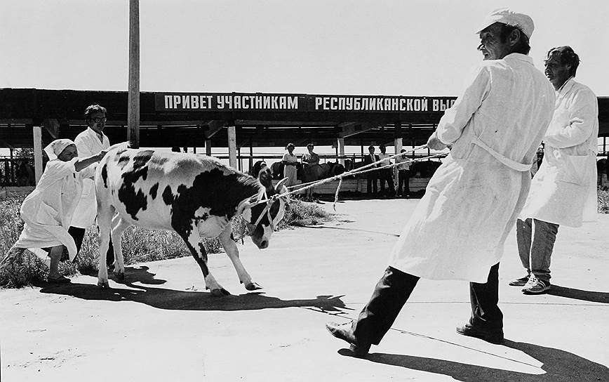 Продовольственная программа ставила задачу увеличить производство и потребление мяса, но мясо не слушалось  