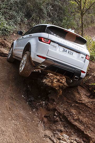 С умом и осторожностью на Evoque можно преодолевать самые жуткие на вид препятствия  