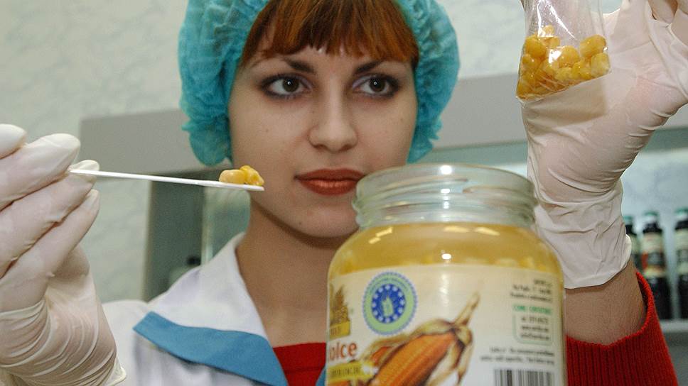 Столетия назад кукурузный початок состоял максимум из десяти зерен, современный вид он приобрел благодаря селекции  