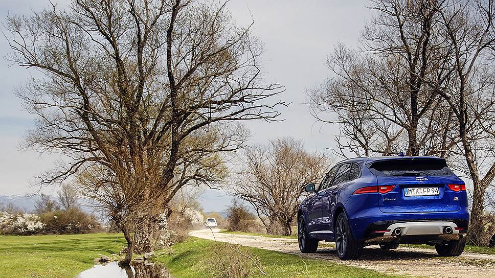 В экстерьере F-Pace есть много деталей, как бы позаимствованных у спортивного купе Jaguar F-Type. К примеру, задние фонари
