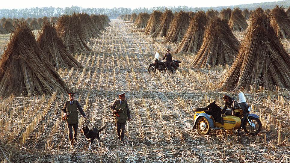 Коноплеводство вернулось в Россию в 2007 году 