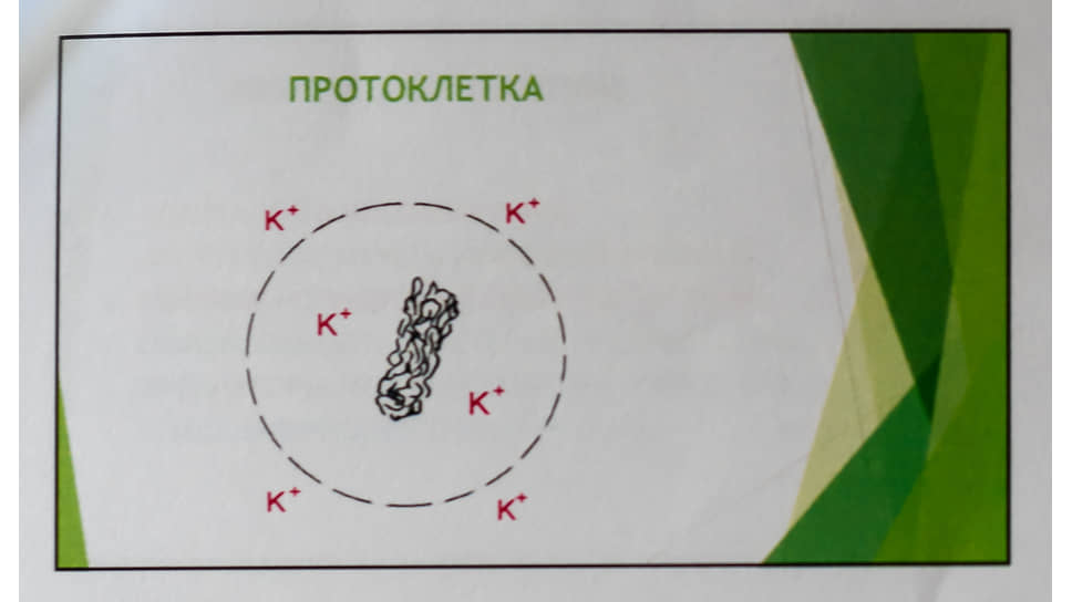Фрагмент доклада (презентации) академика Наточина