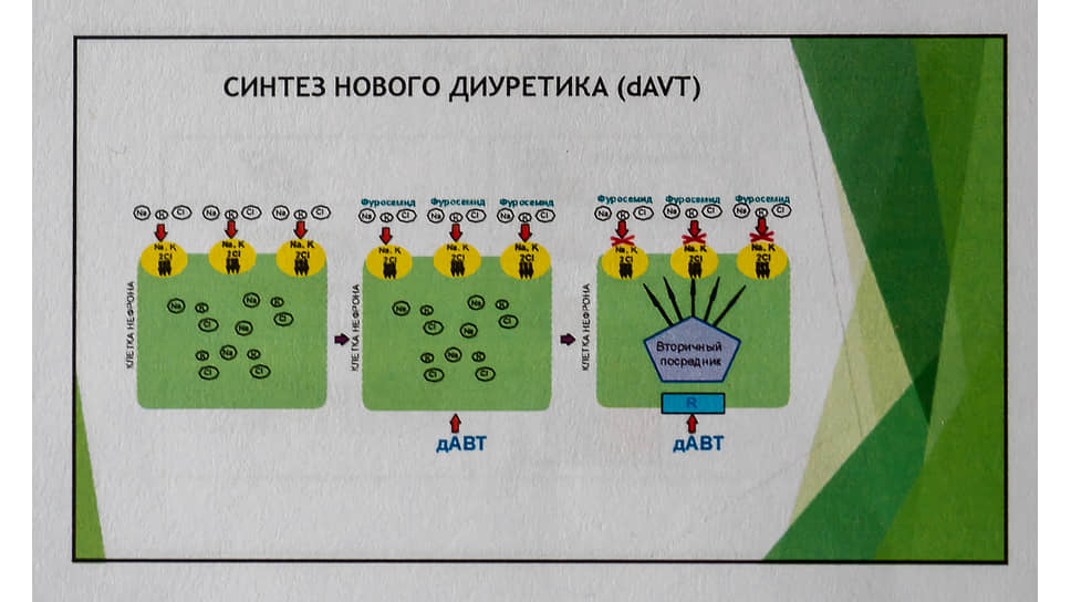 Фрагмент доклада (презентации) академика Наточина