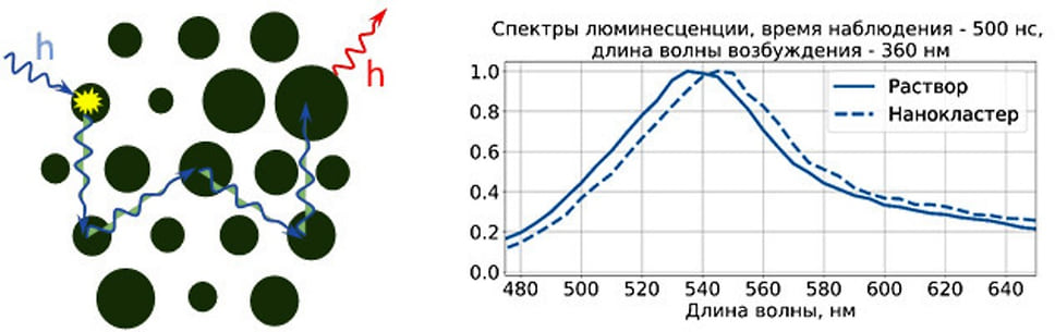 Рисунок 2. Спектры люминесценции коллоидных квантовых точек InP:Mn