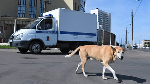 Депутаты Госдумы призвали принять меры по ситуации с бродячими псами в Мариуполе