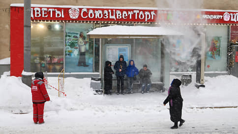 В Москве установлен рекорд по количеству выпавшего за сутки снега