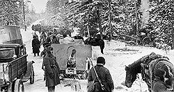 Значительная часть красноармейцев пала в лесах сражений не от вражеского оружия, а от холода