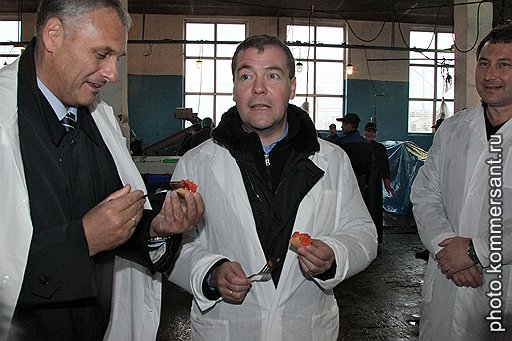 Красная икра — главный кунаширский продукт. Почему она с трудом добирается до Москвы, Медведев обещал разобраться 