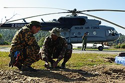 Трудностей в коммуникации у профессионалов не возникает, они понимают друг друга всегда 