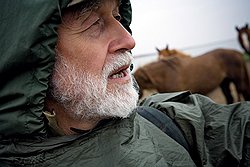 Владимир Казьмин, сотрудник заповедника «Ростовский», вместе с коллегами изучает полудиких-полудомашних лошадей