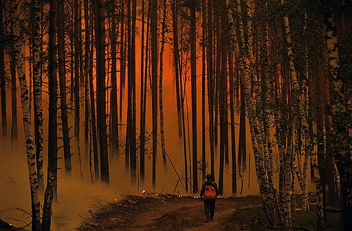 Лесные пожары, смог и засуха аномально жаркого лета 2010 года стали серьезным испытанием и для власти, и для всех россиян. По данным МЧС, в стране пожарами было охвачено около 200 тыс. га в 20 регионах, в огне погибли более 50 человек, было уничтожено более полутора тысяч домов 