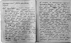 Врач Клавдия Наумовна заполнила записями три тетрадки 