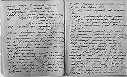 Врач Клавдия Наумовна заполнила записями три тетрадки 