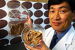 Митсуюки Икеда из Университета Окаямы демонстрирует искусственное мясо, которое по своему составу является чистым диетическим продуктом: 63% — это чистый протеин, еще 25% — углеводы, 9% — минералы и 3% — жирные кислоты