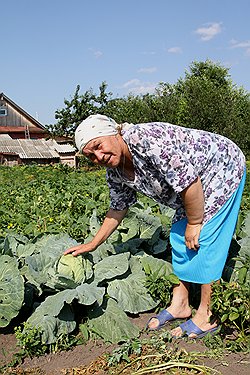 "Бурановские бабушки" не мыслят жизни без огорода