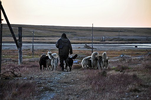 Фарш — последний, кто остался в некогда многолюдном поселке Ленинградский. Живет вместе со своими собаками и даже не мечтает вернуться на материк