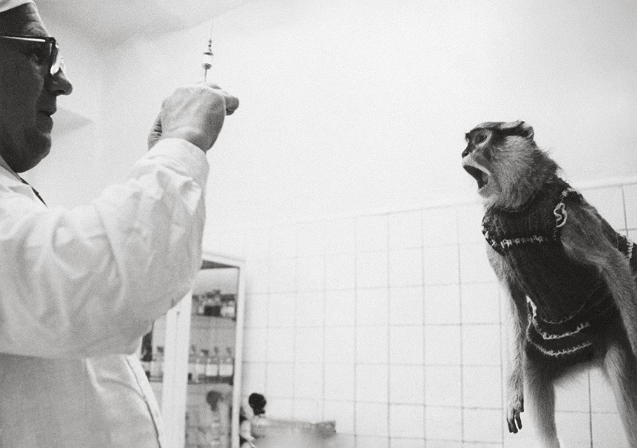 1978 год. Петр Носов. "Сколько можно". 3-й приз в категории "Разное"